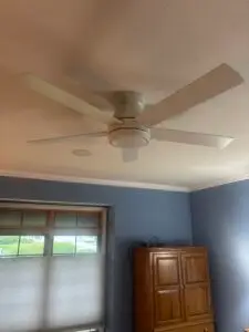 Ceiling Fan Replacement in Holland