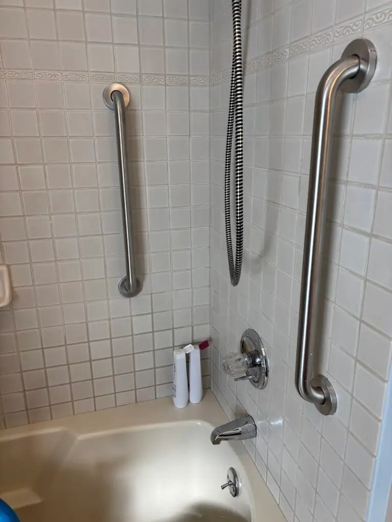 Shower Grab Bar Installation in Zeeland