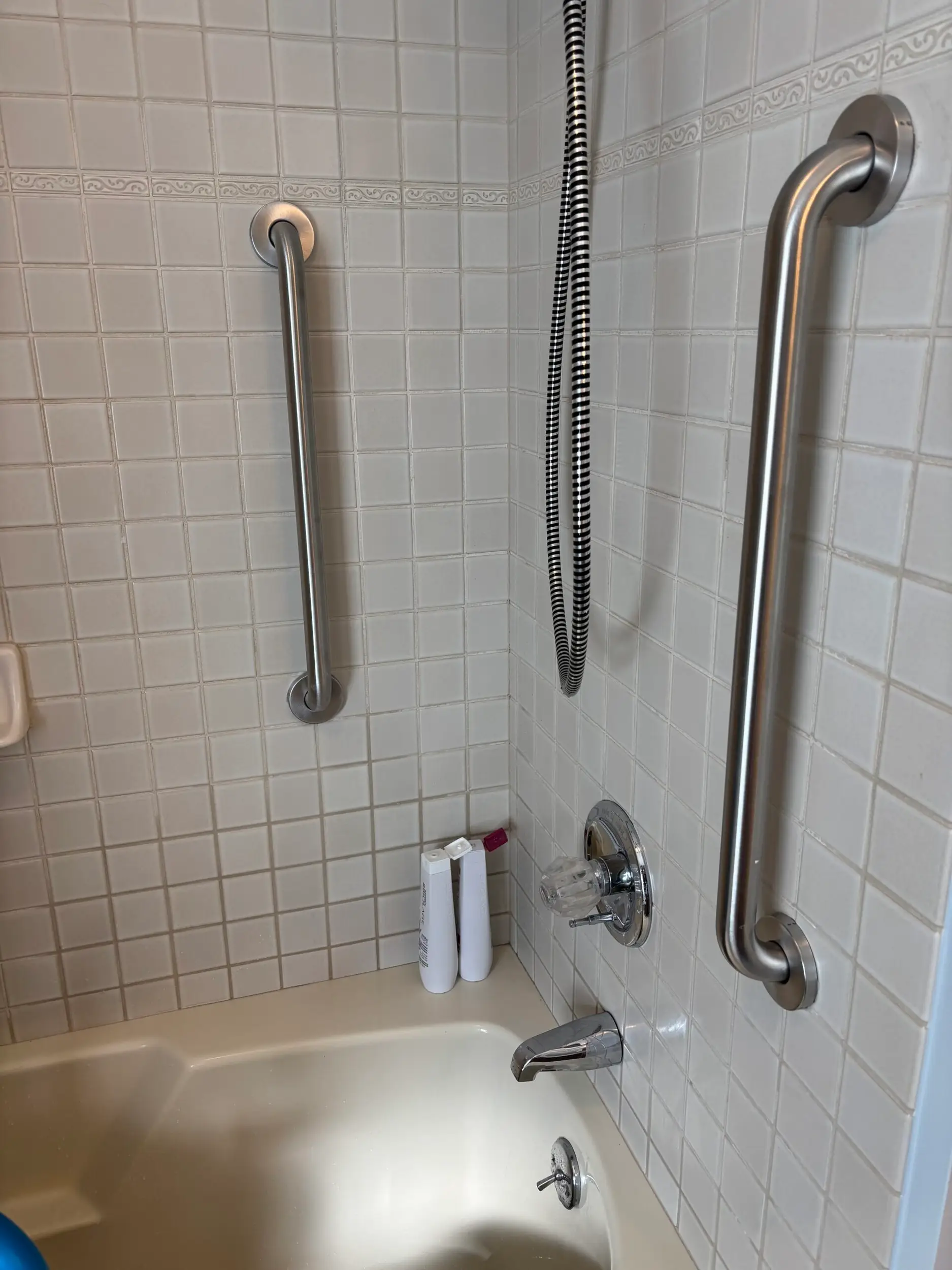 Shower Grab Bar Installation in Zeeland